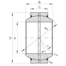 Подшипник GE45-FO-2RS INA