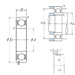 Bantalan 6018N NSK