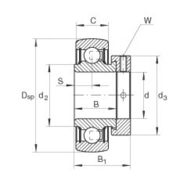 Подшипник RAE40-NPP-B INA