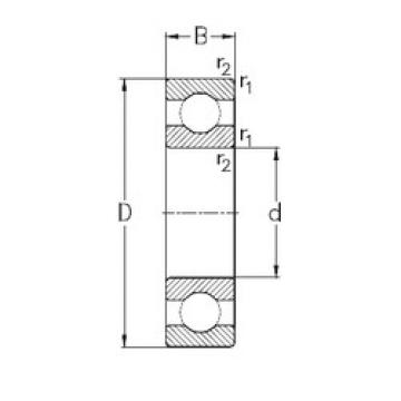 Bantalan 6044-M NKE