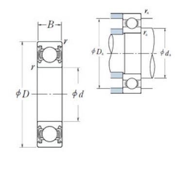 Bantalan 60/28ZZ NSK