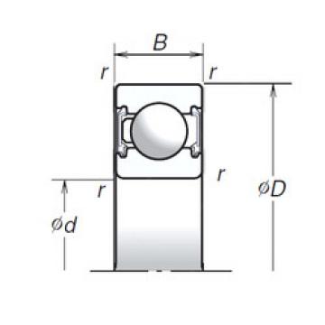 Bantalan 6008T1XVV NSK