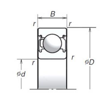 Bantalan 6004T1XZZ NSK