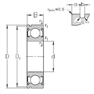 Bantalan 6007-2Z-N NKE