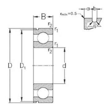 Bantalan 6004-N NKE