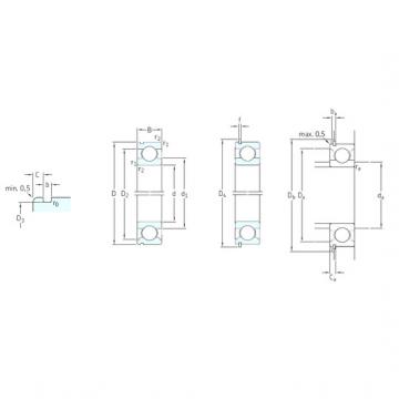 Bantalan 6007N SKF